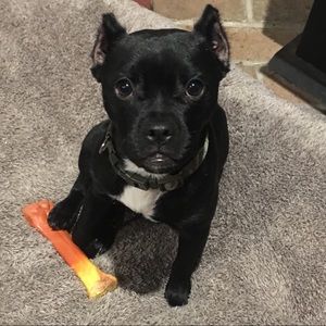 Meet your Posher, Noelle